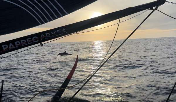 Jour 8 - The Transat : Lorient ➡️ New York