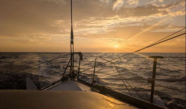 Transat Café L’Or - Paprec Arkéa : L’autre voyage